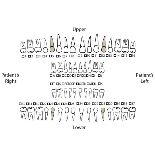 Referral Img - The Center For Oral Surgery